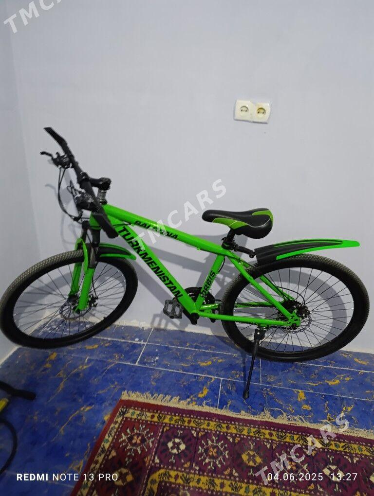 Turkmenistan tigir - Büzmeýin - img 2