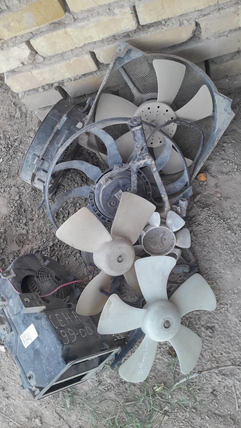 Wentilyator lopus baboçka w.ş. 300 TMT - Мары - img 1