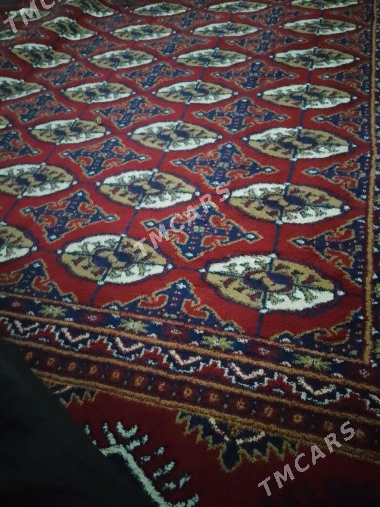 Haly - Aşgabat - img 3