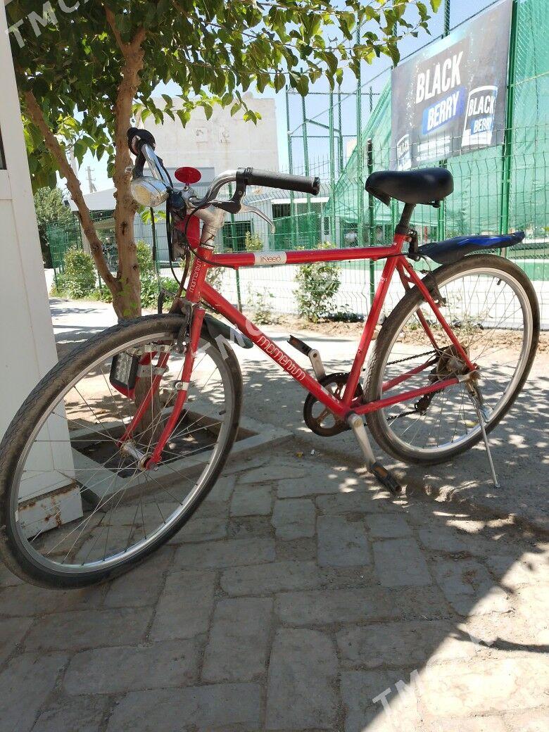 welseped 28 lik - Wekilbazar - img 4