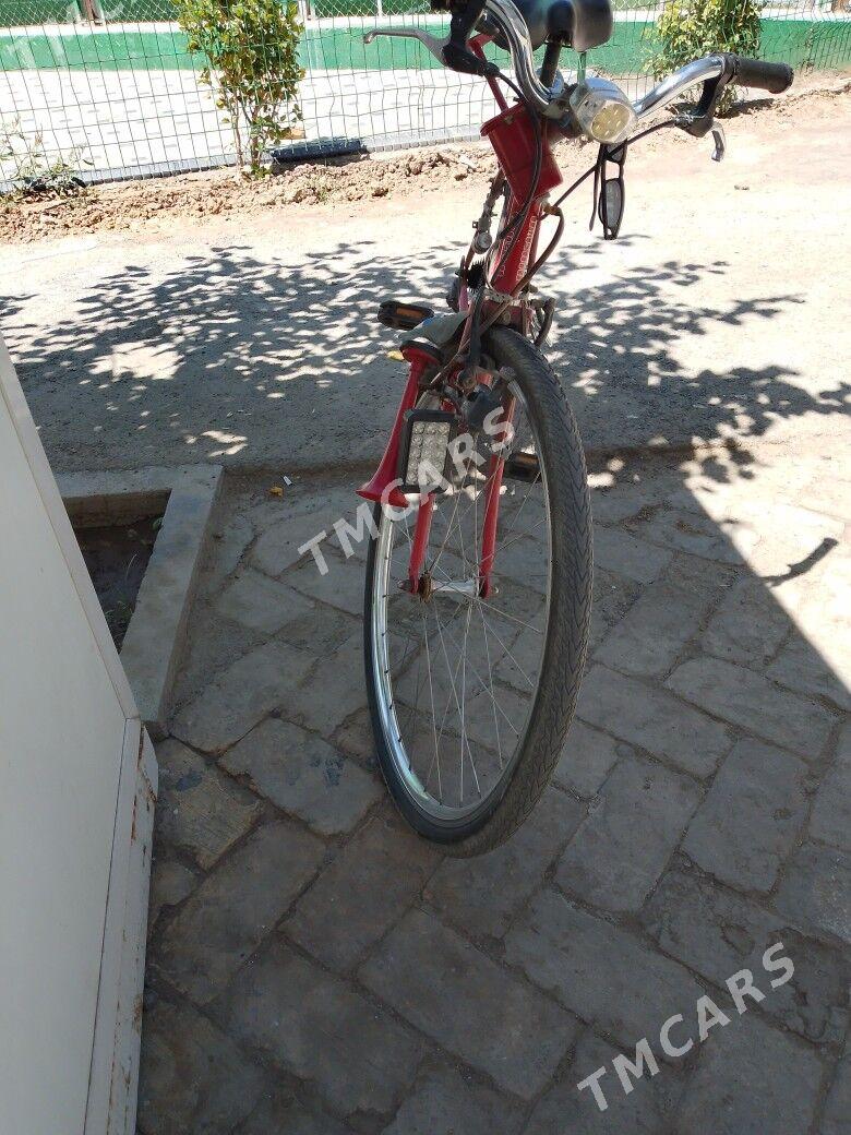 welseped 28 lik - Wekilbazar - img 2