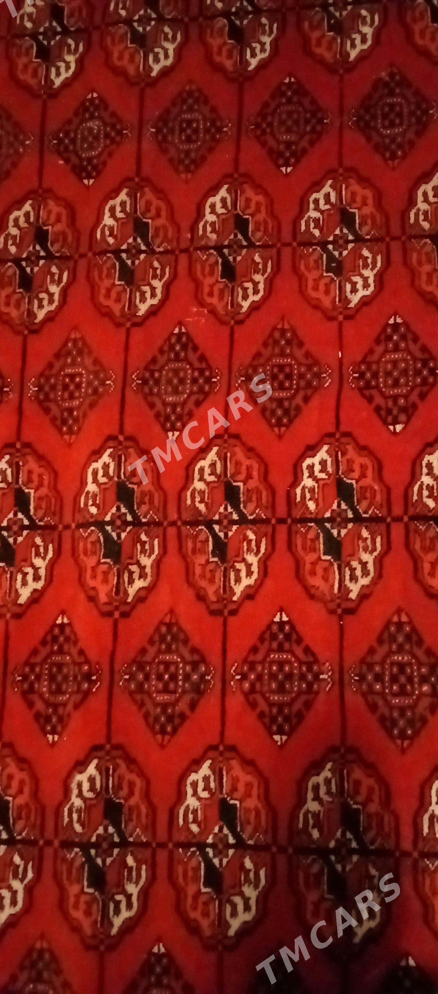 Haly el Эль халы - Mary - img 2