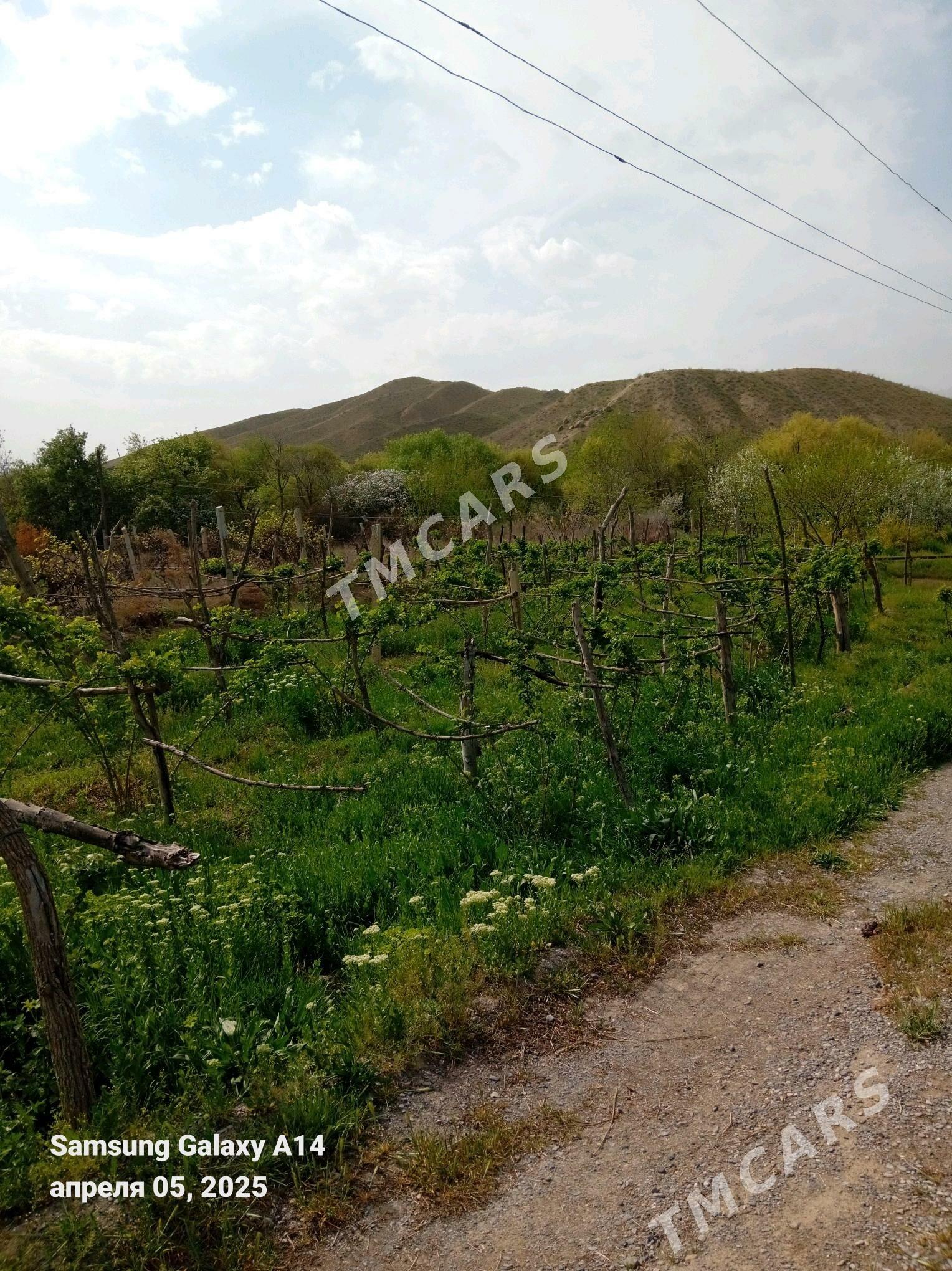 Daça - Gökdepe - img 2