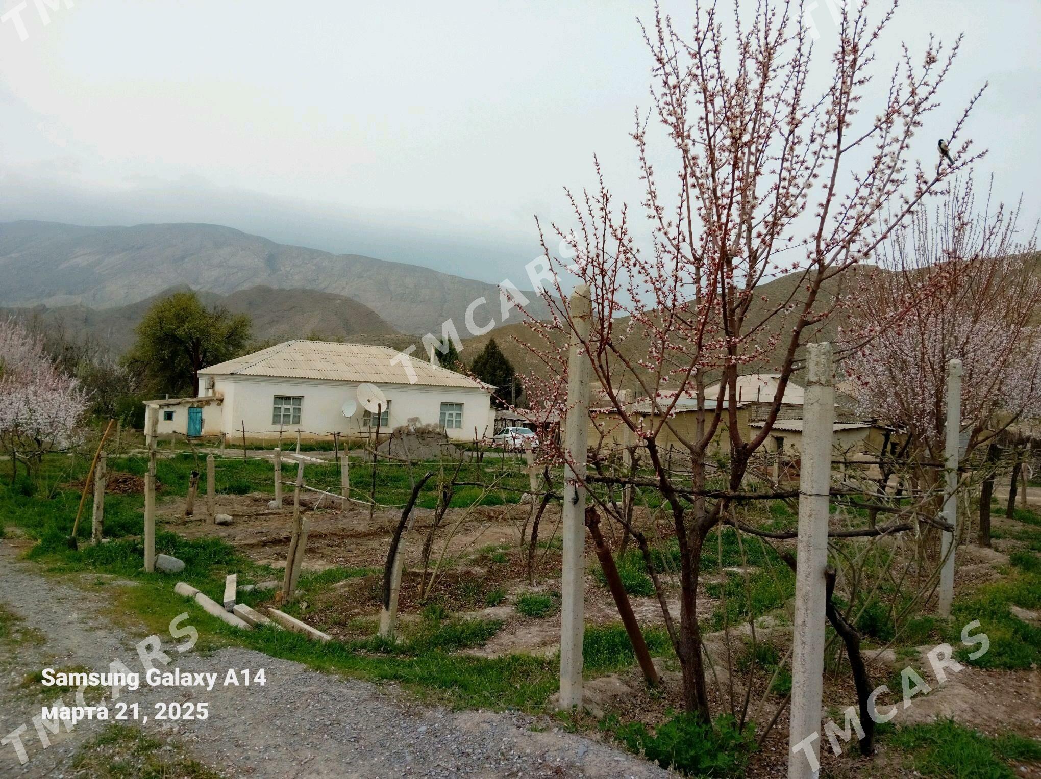 Daça - Gökdepe - img 3