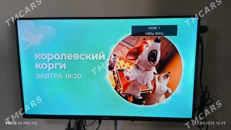 Оскар и пресина - Garabogaz - img 2