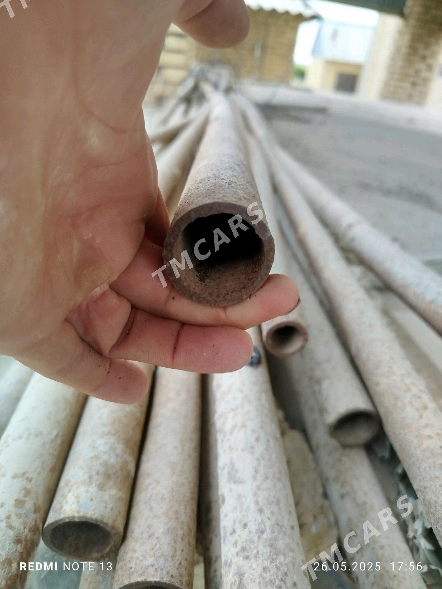 25lik ors turba - Sakarçäge - img 2