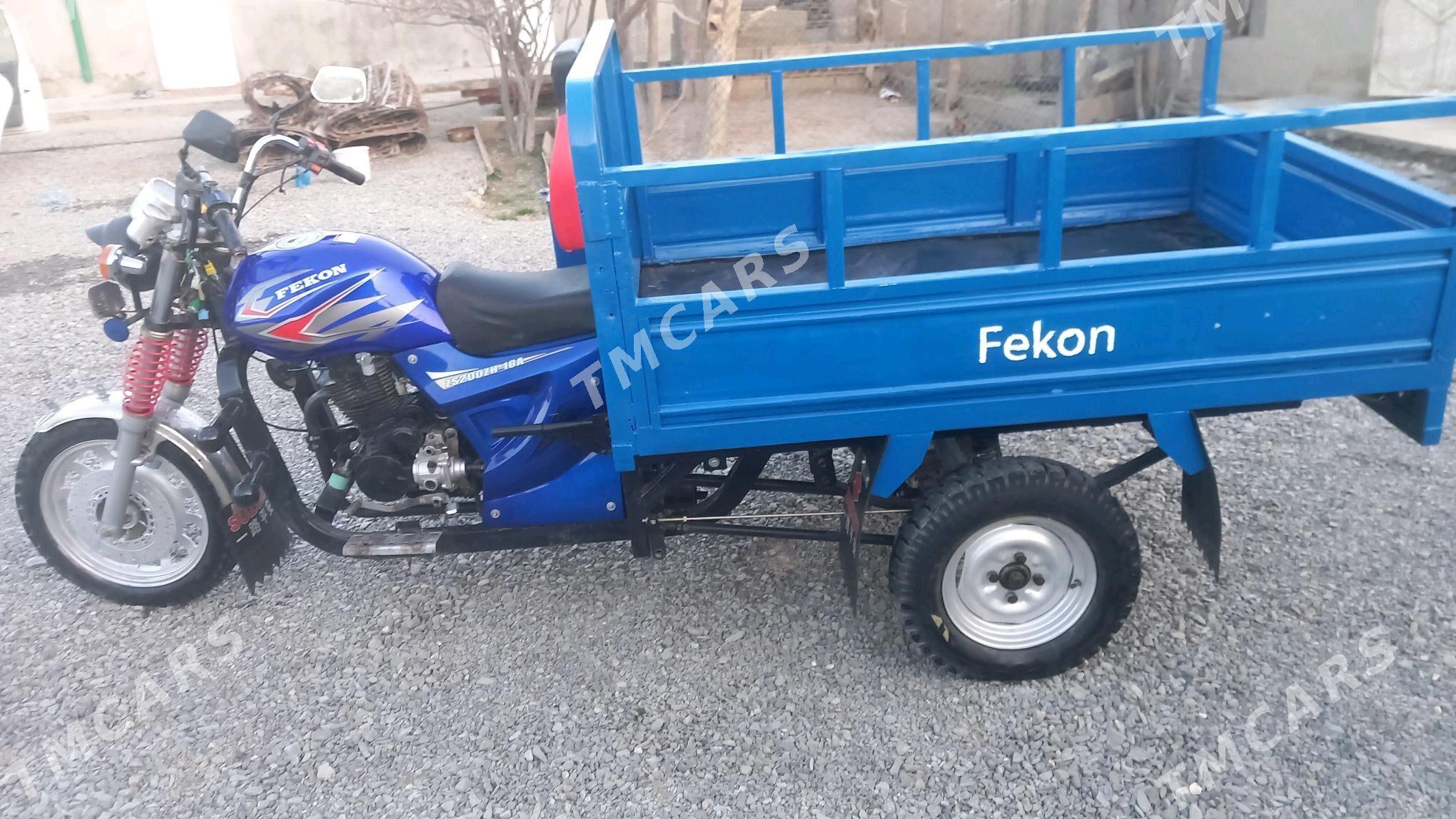Fekon FK200-14G 2015 - 20 000 TMT - Bäherden - img 2