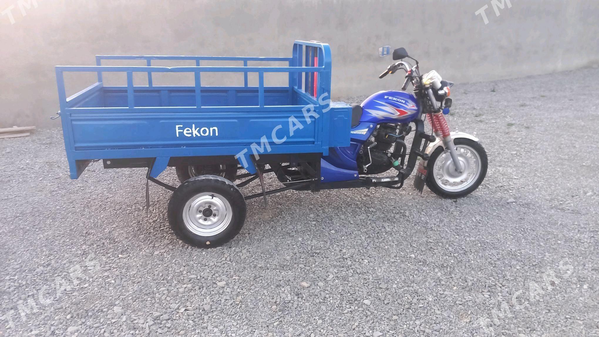 Fekon FK200-14G 2015 - 20 000 TMT - Bäherden - img 3