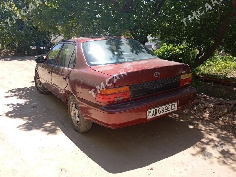 Toyota Corolla 1995 - 65 000 TMT - Гороглы (Тагта) - img 5