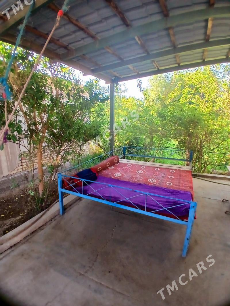 Tapçan uly - Şabat etr. - img 2
