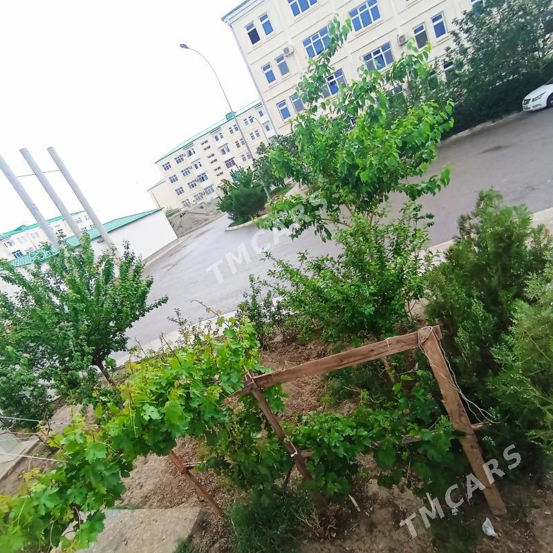 Büzmeýin GRESS Täze Ahal 2 kom - Büzmeýin GRES - img 10