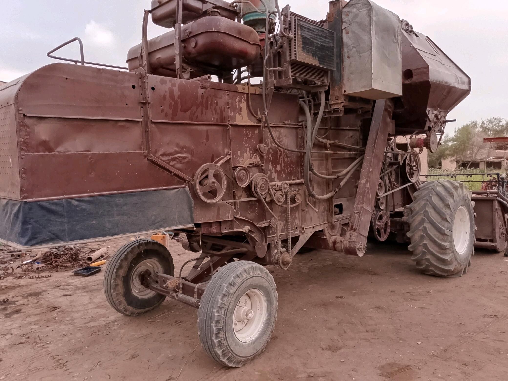 MTZ 82 1992 - 300 000 TMT - Halaç - img 3