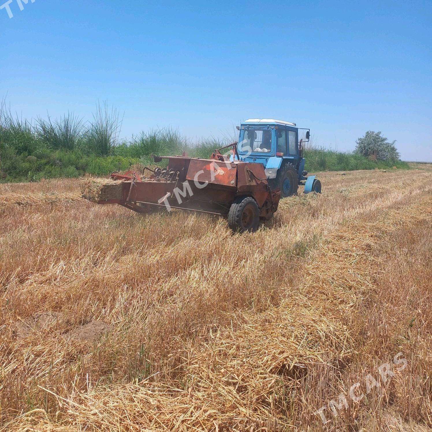 MTZ 80 1990 - 120 000 TMT - Babadaýhan - img 2