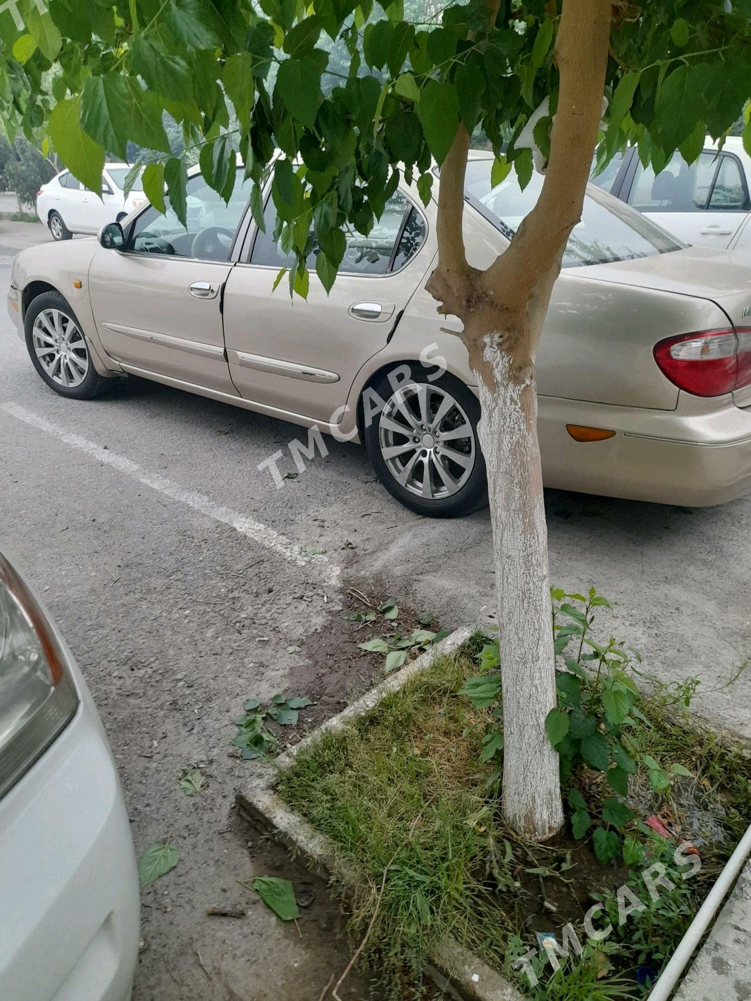 Nissan Maxima 2000 - 60 000 TMT - Aşgabat - img 4
