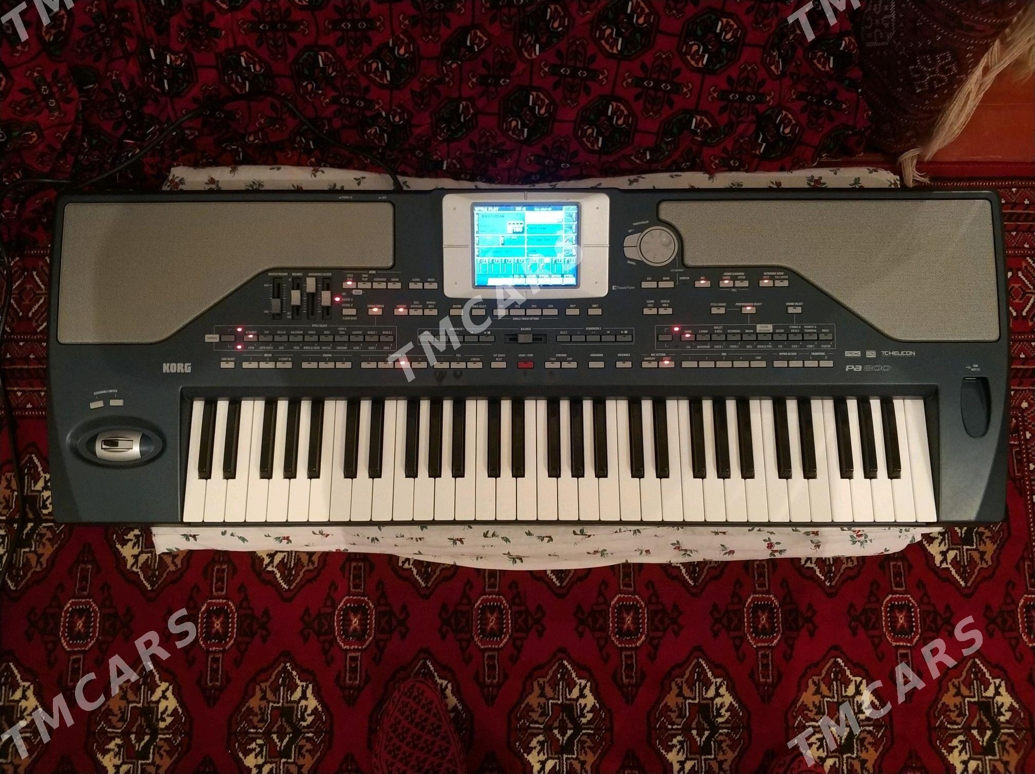 KORG PA800 - Mary - img 2