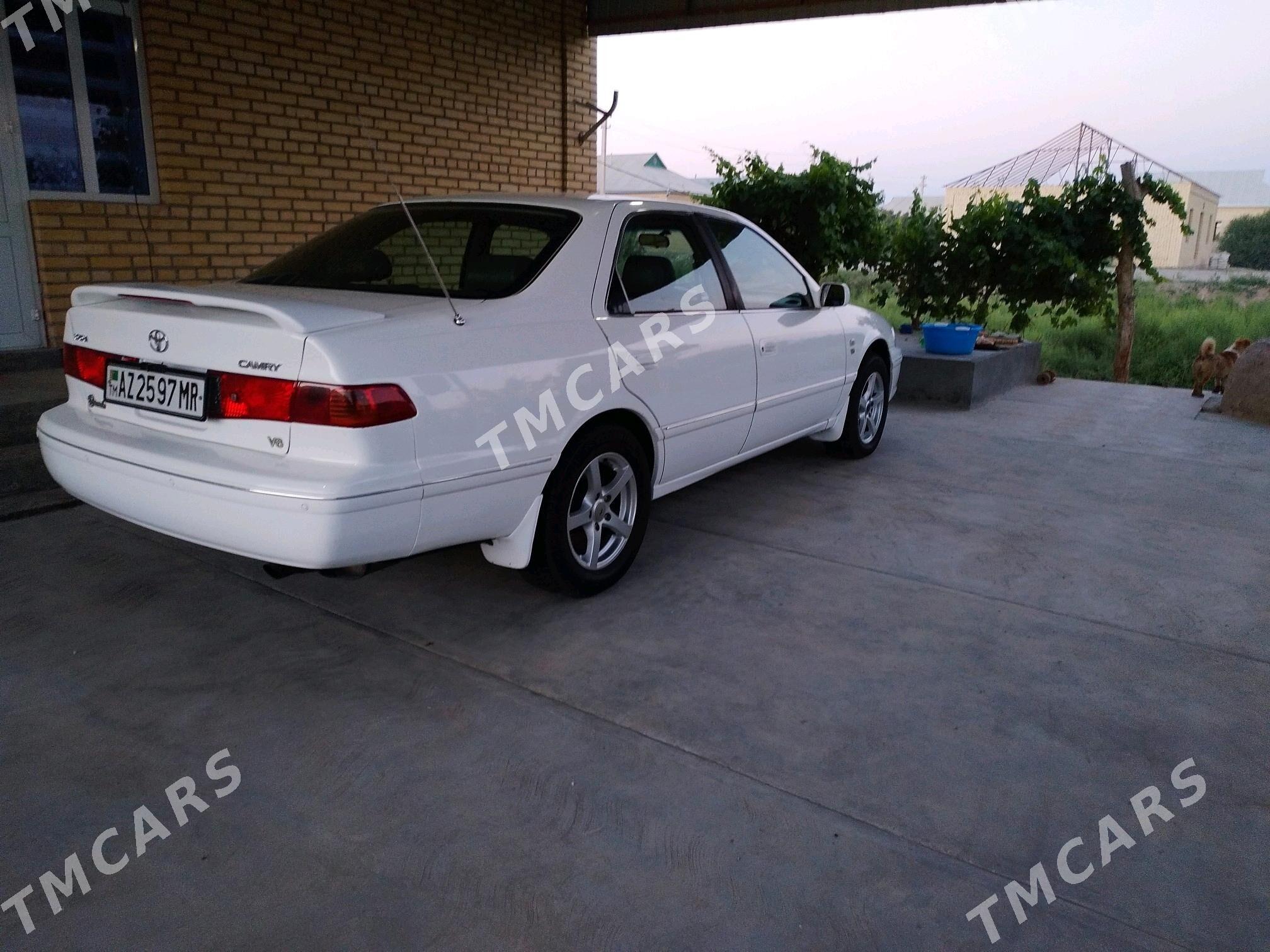 Toyota Camry 1997 - 115 000 TMT - Sakarçäge - img 2