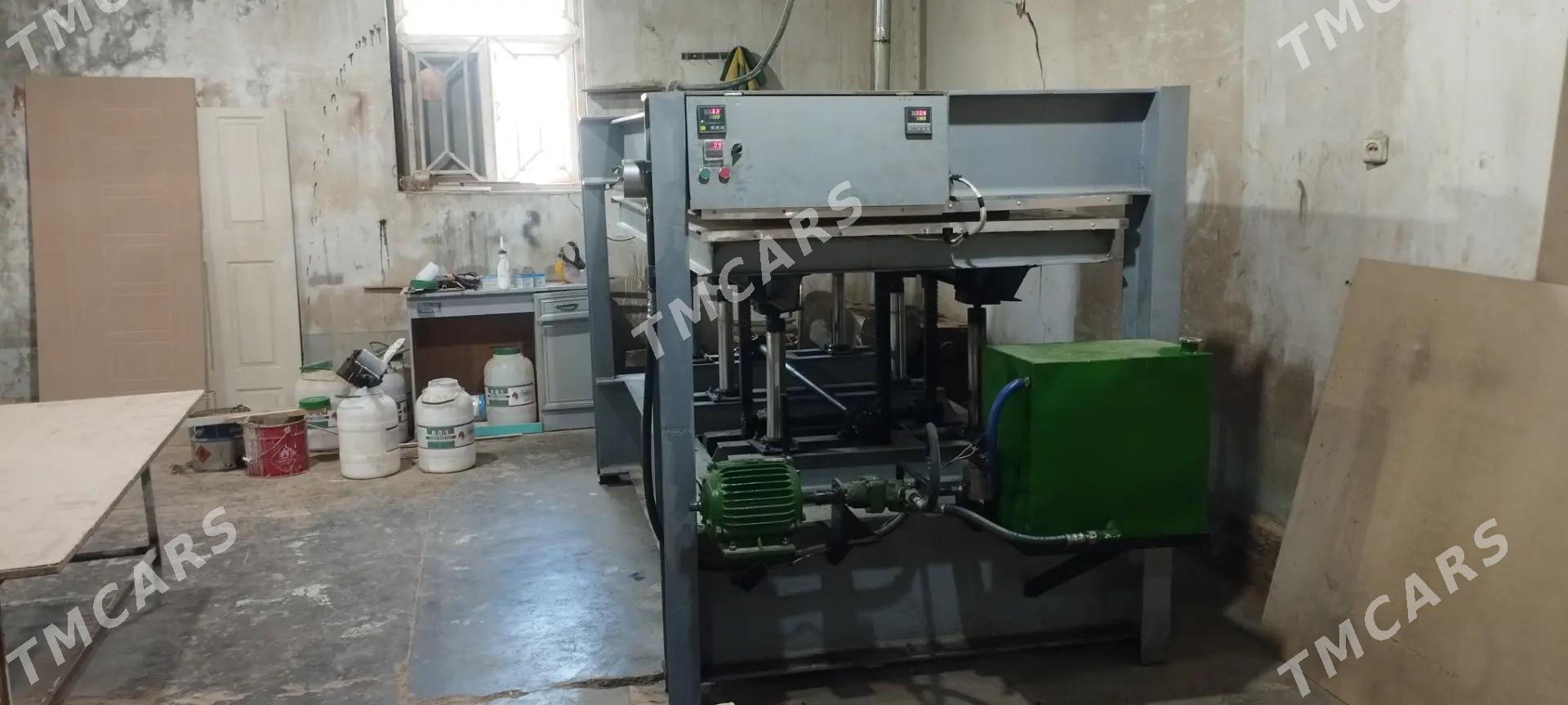 gapy press stanok - Mary - img 2