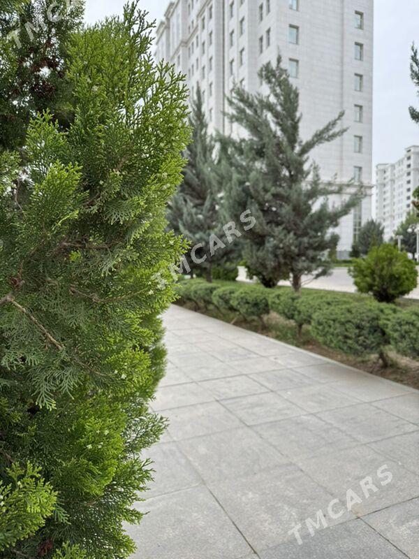14 ТАПГЫР УЛ ЭЗИЗОВА - Aşgabat - img 3