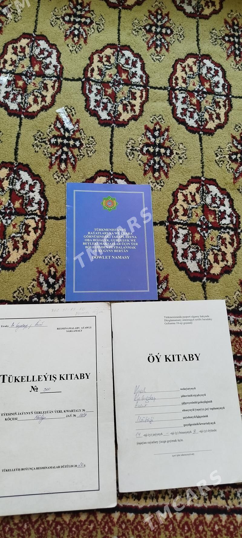 Änew plan jay baha dusdi - Ак-Бугдайский этрап - img 10