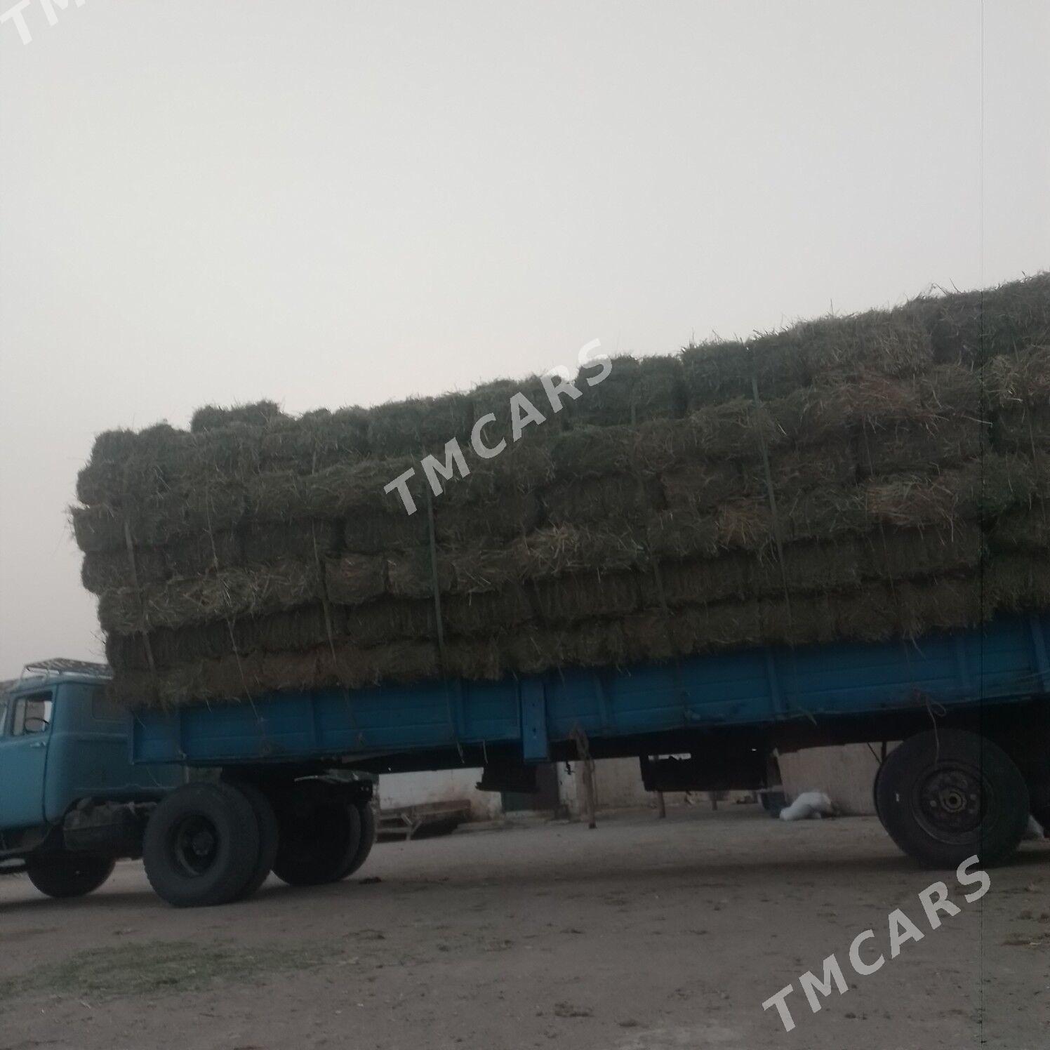 Zil 130 1988 - 55 000 TMT - Esenguly - img 3