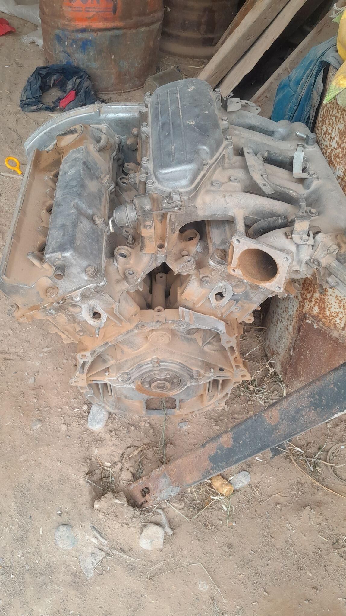 Nissan mator maksima 1 200 TMT - Sarahs - img 3