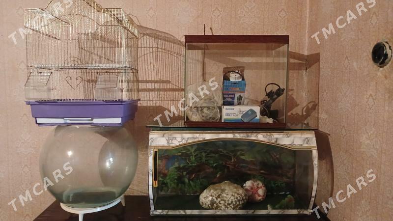Аквариумы - 30 mkr - img 1