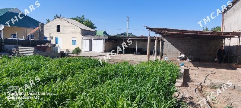 Bagyr mellek eyesinden - Багир - img 1