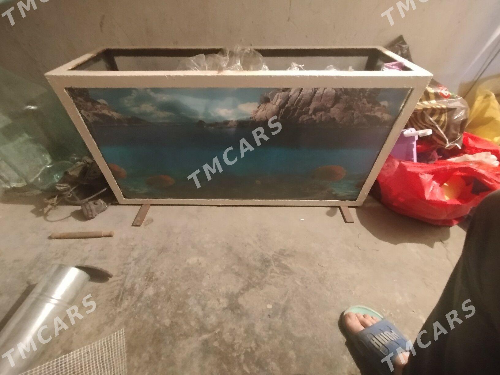 аквариум - Туркменбаши - img 1