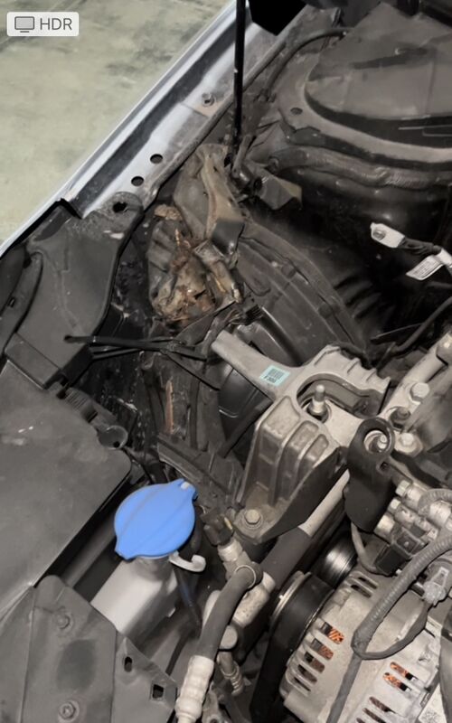 Hyundai Elantra 2019 - 210 000 TMT - Mary - img 8