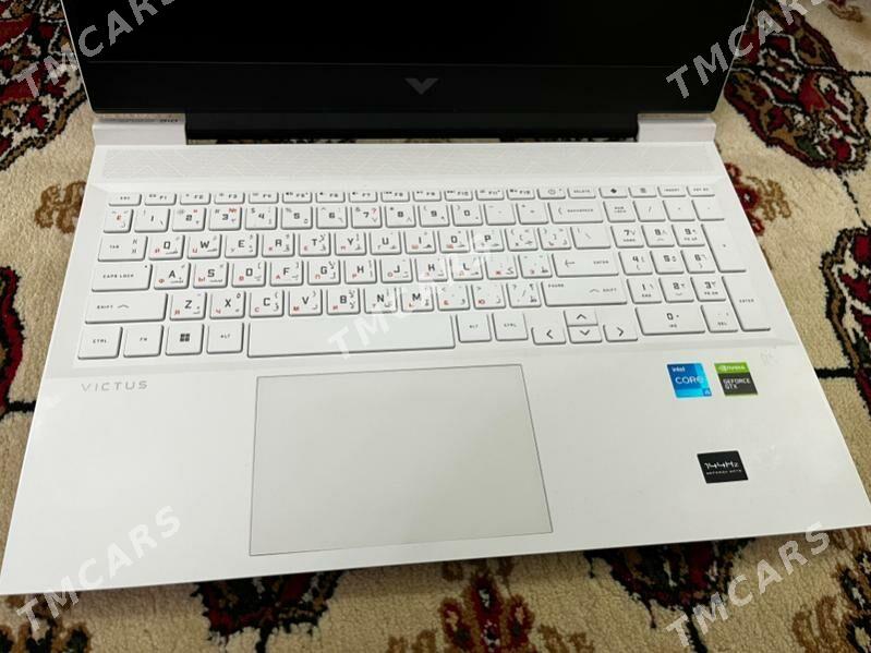 HP VICTUS - Mary - img 1