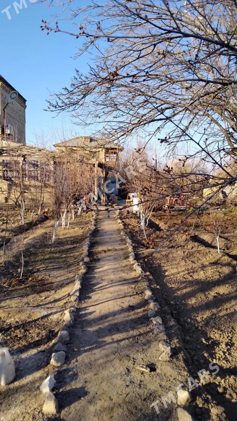 Продаю дачу с обменом карамянц - Türkmenabat - img 10
