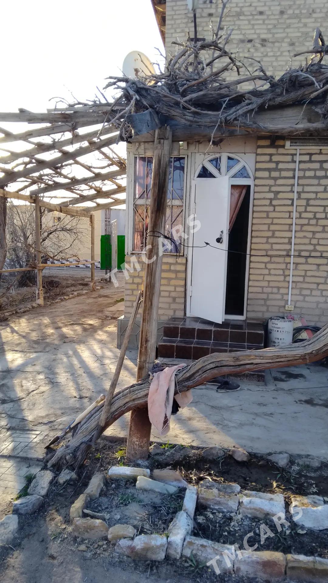 Продаю дачу с обменом карамянц - Türkmenabat - img 8