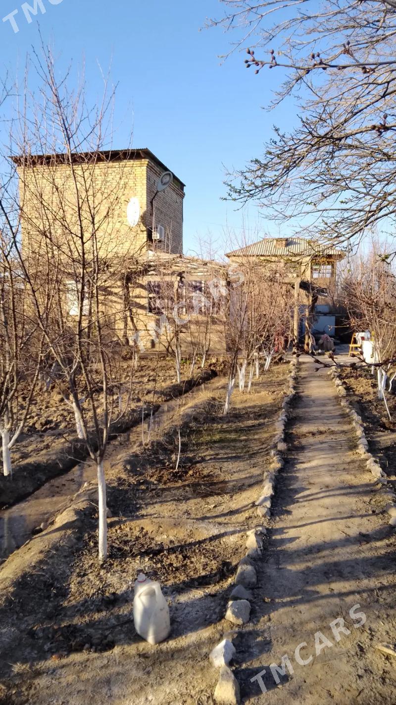 Продаю дачу с обменом карамянц - Türkmenabat - img 9