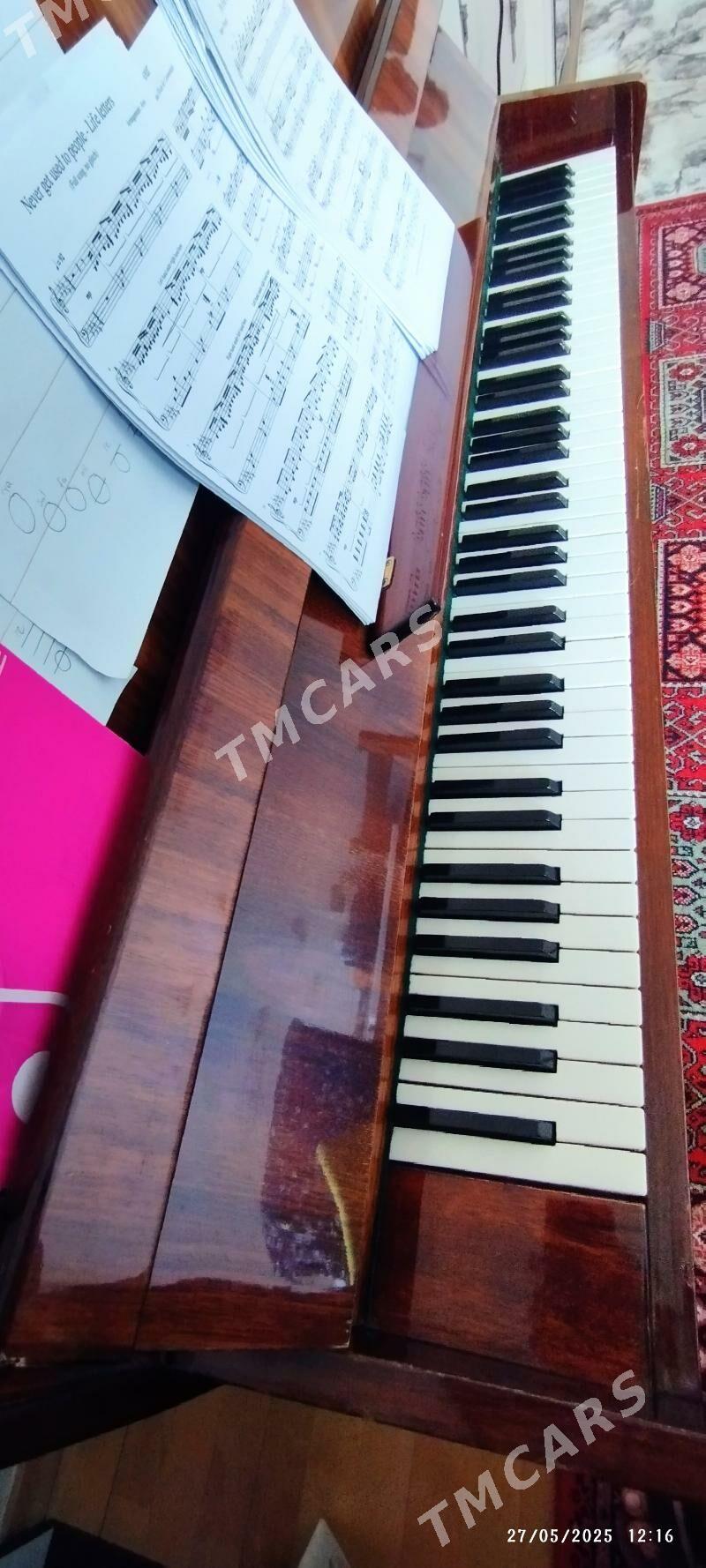 nocturne pianino - Podwoýski köç. (Bitarap Türkmenistan şaýoly) - img 2