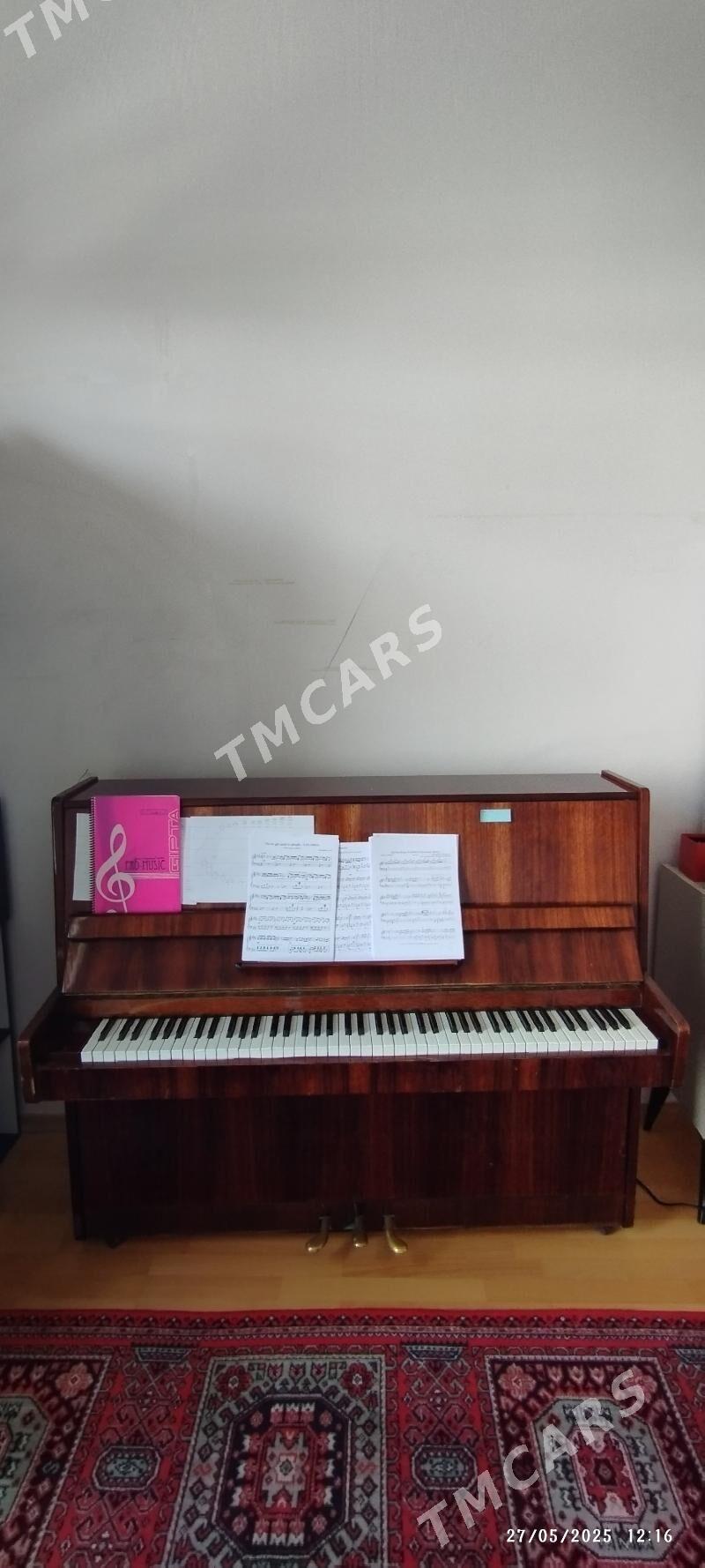 nocturne pianino - Podwoýski köç. (Bitarap Türkmenistan şaýoly) - img 4