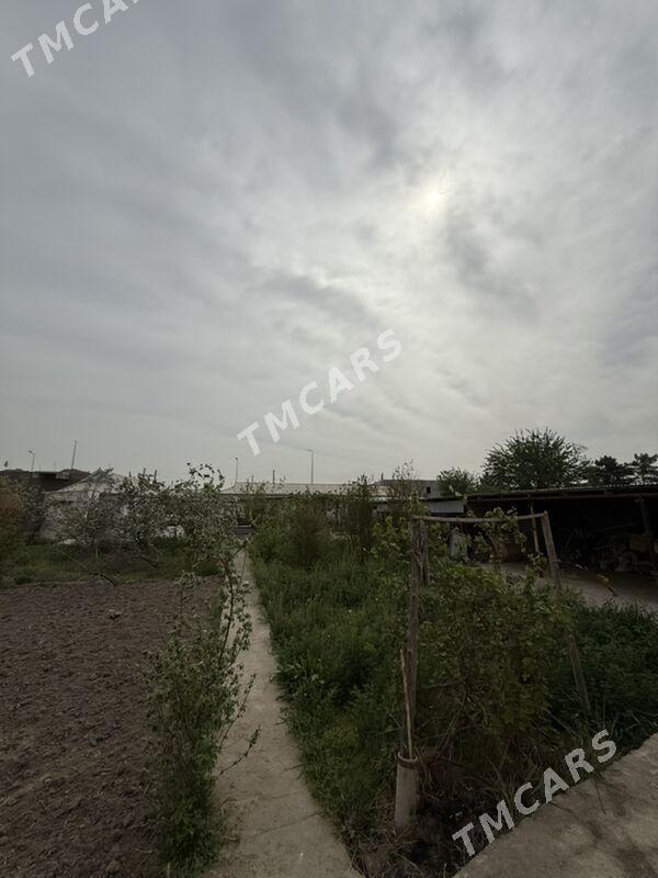BIZNES HOWLY - Мары - img 7