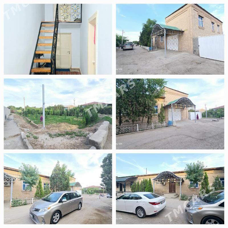 Bay oba - Daşoguz - img 2