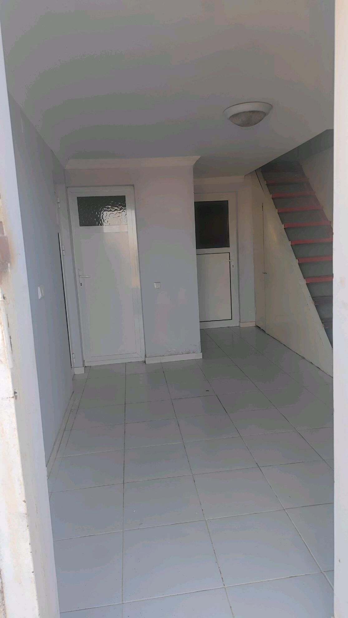 Çıgıt  gowuryan seyh - Ak bugdaý etraby - img 7