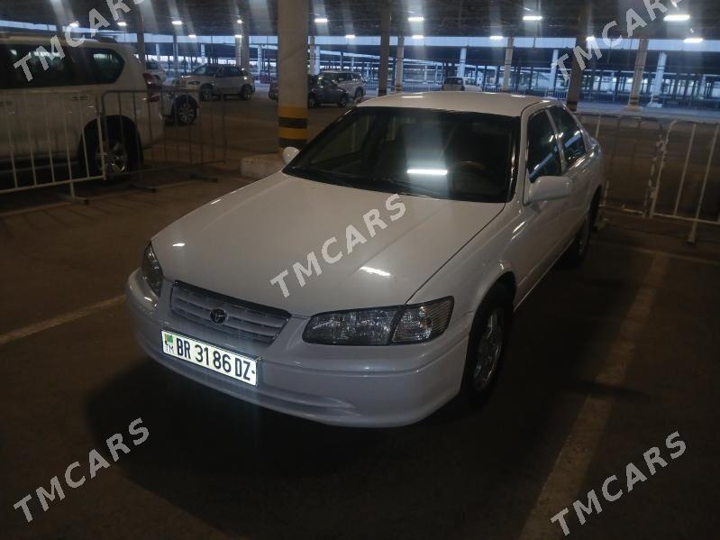 Toyota Camry 2000 - 130 000 TMT - Гурбансолтан Едже - img 3