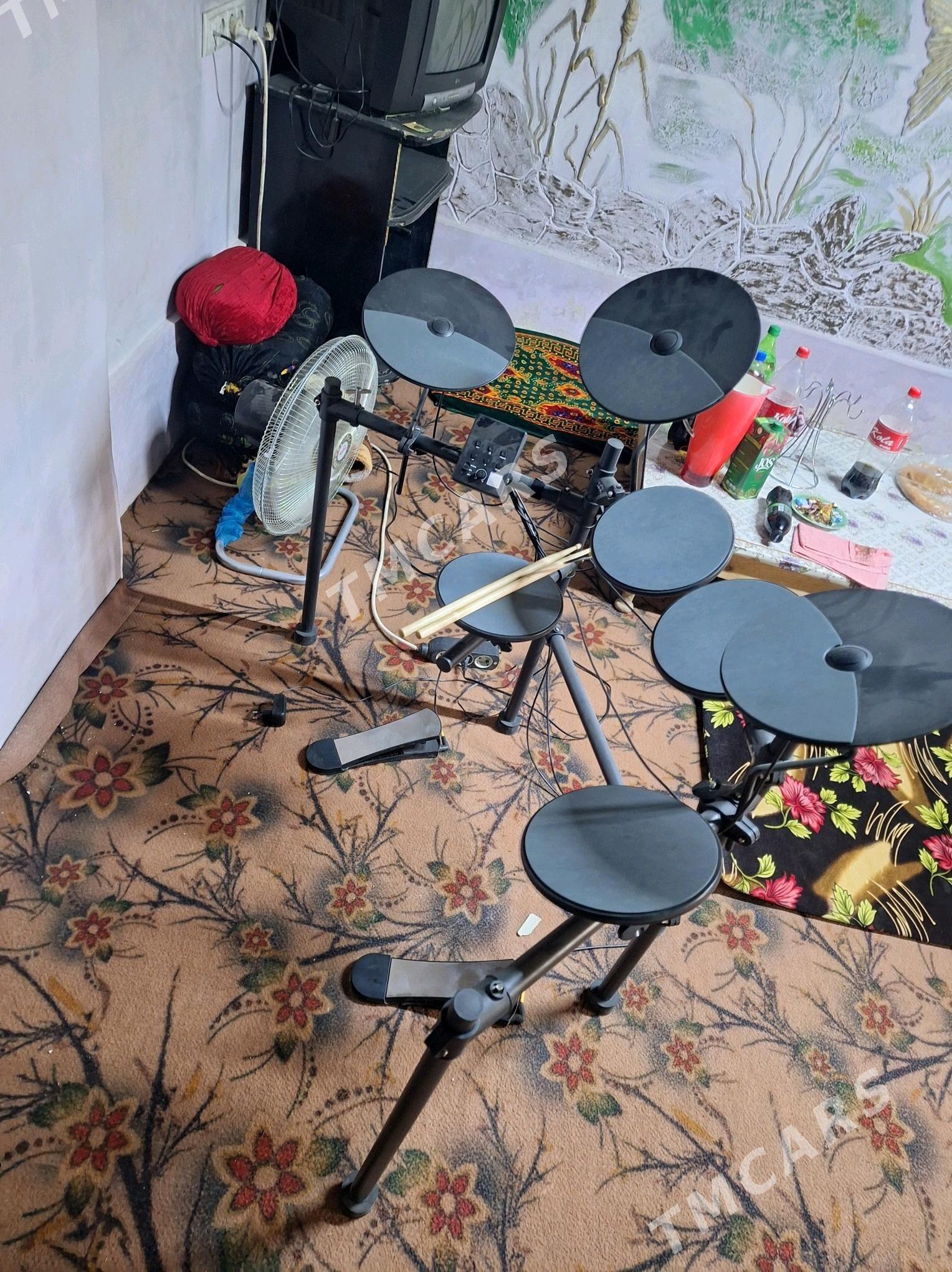 elektro udarnik - Gurbansoltan Eje - img 2