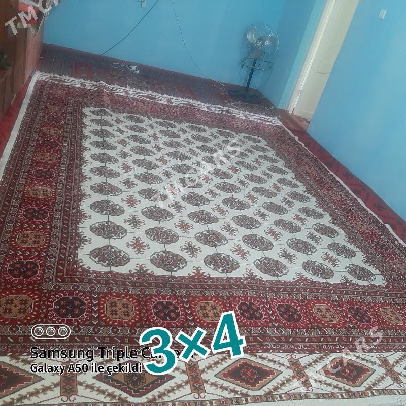 haly 3×4 - Gubadag - img 2