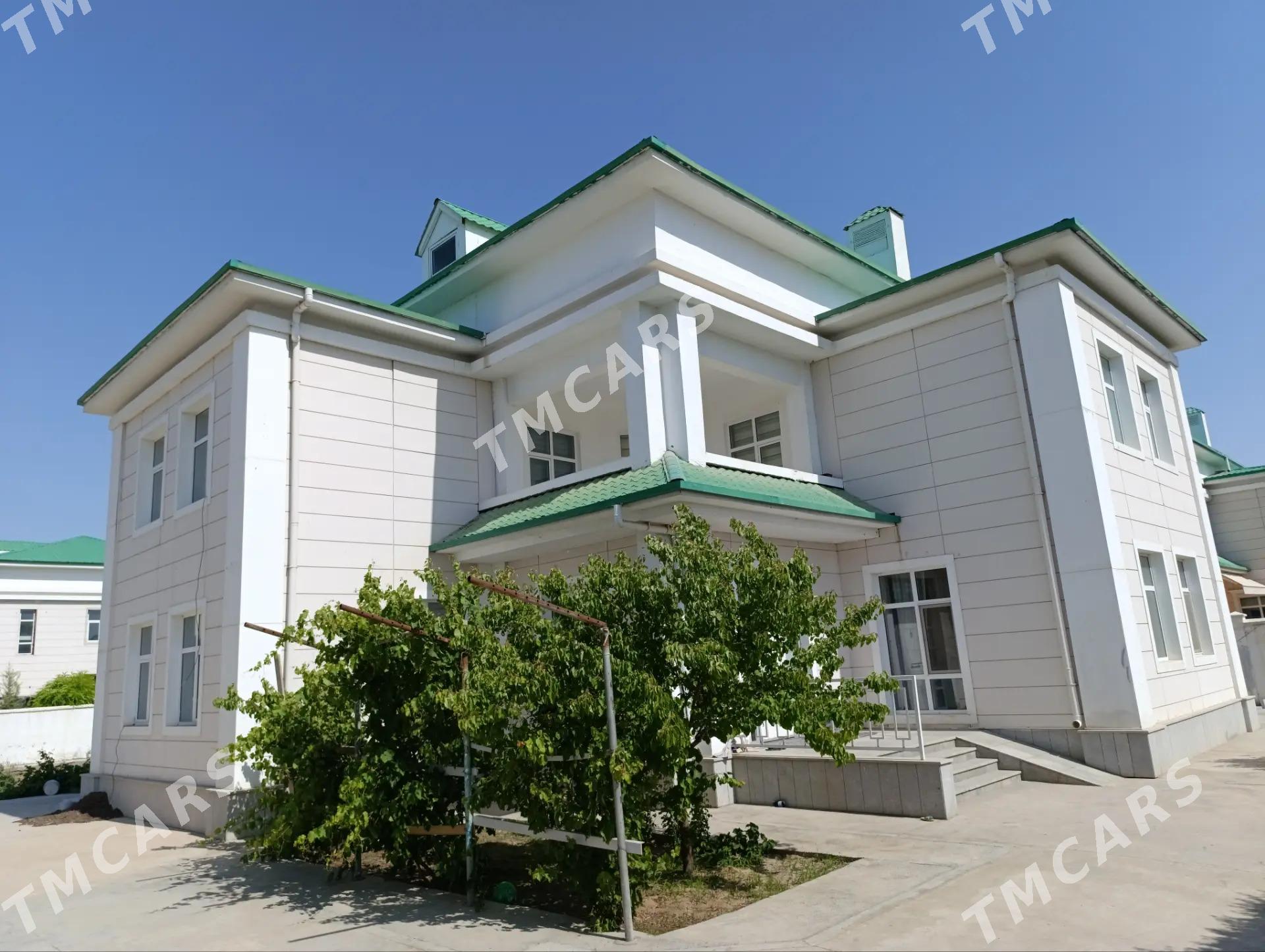 coganly cyzgy kotej - Aşgabat - img 1