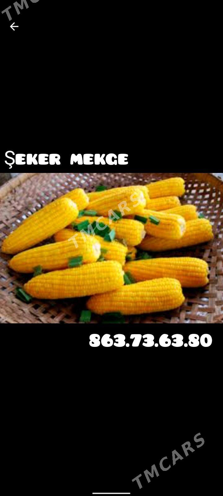 Mekgejöwen - Hitrowka - img 1