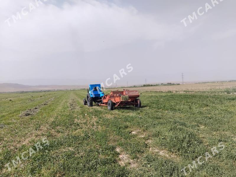 MTZ T-28 2005 - 85 000 TMT - Ak bugdaý etraby - img 1