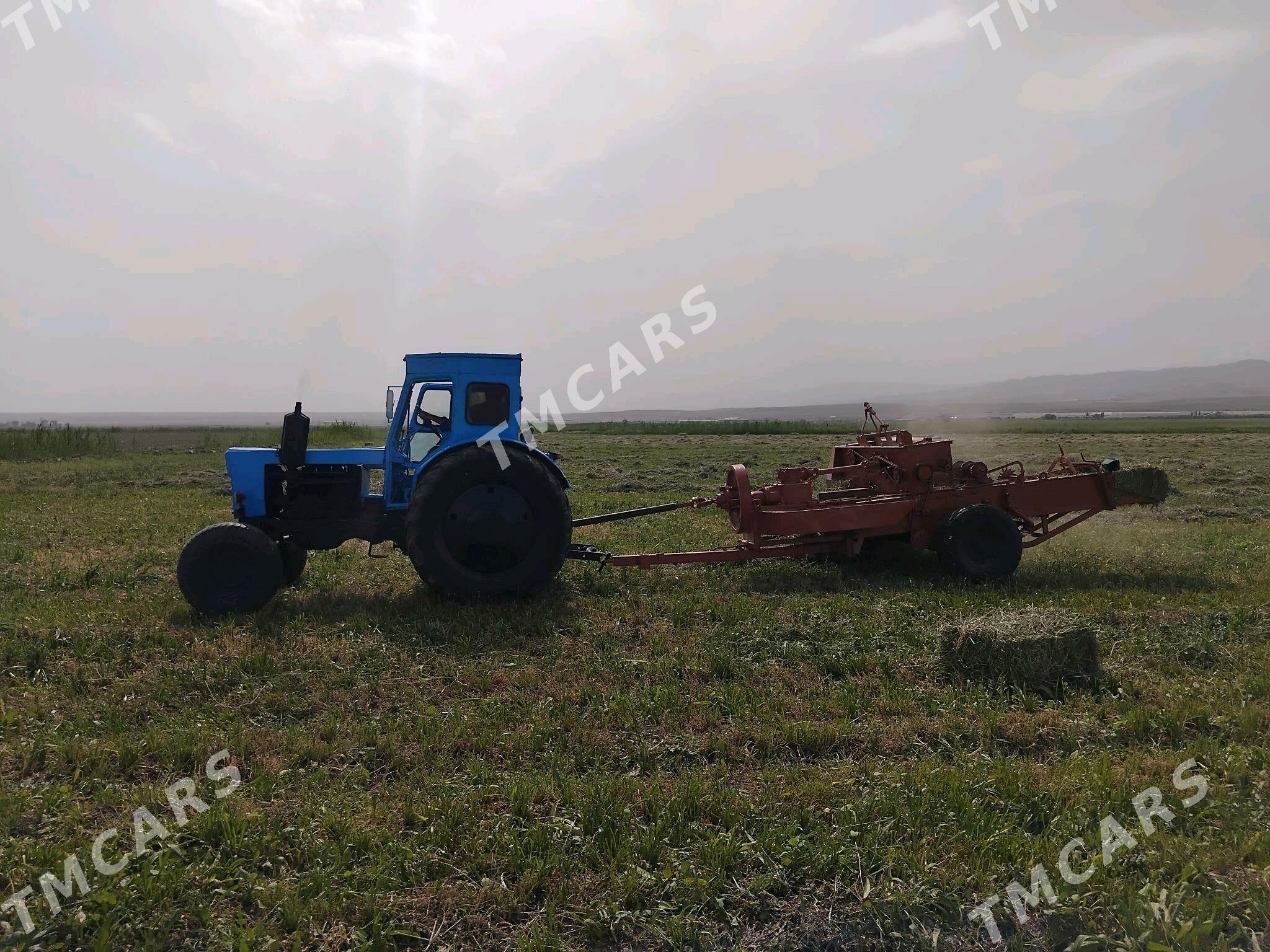MTZ T-28 2005 - 85 000 TMT - Ak bugdaý etraby - img 4