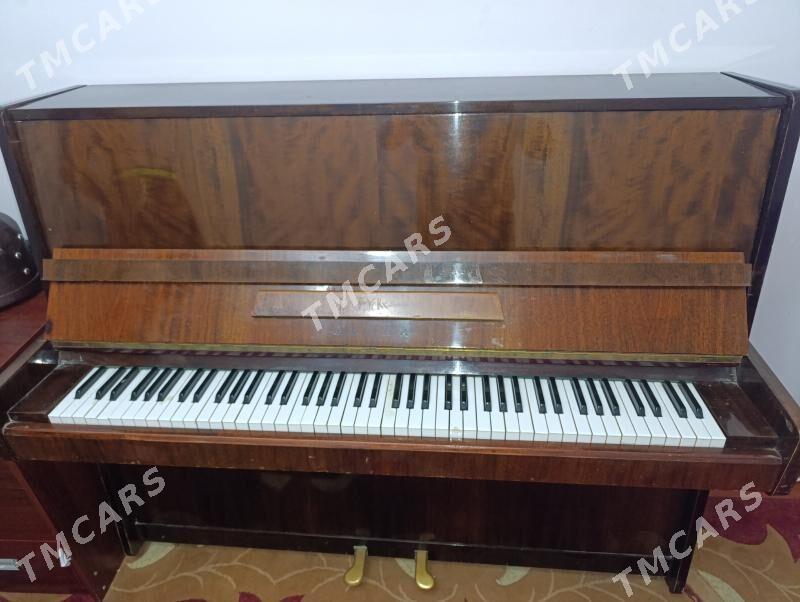pianino - Mary - img 3