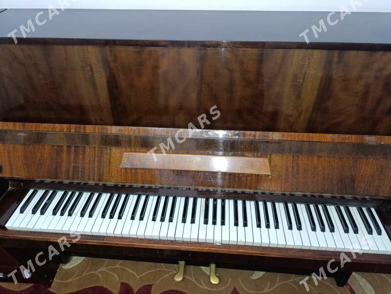 pianino - Mary - img 2