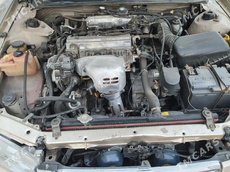 Toyota Camry 2000 - 135 000 TMT - Türkmenabat - img 6