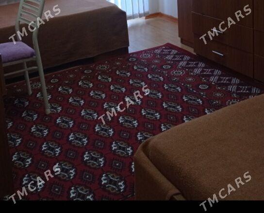 Haly - Daşoguz - img 2