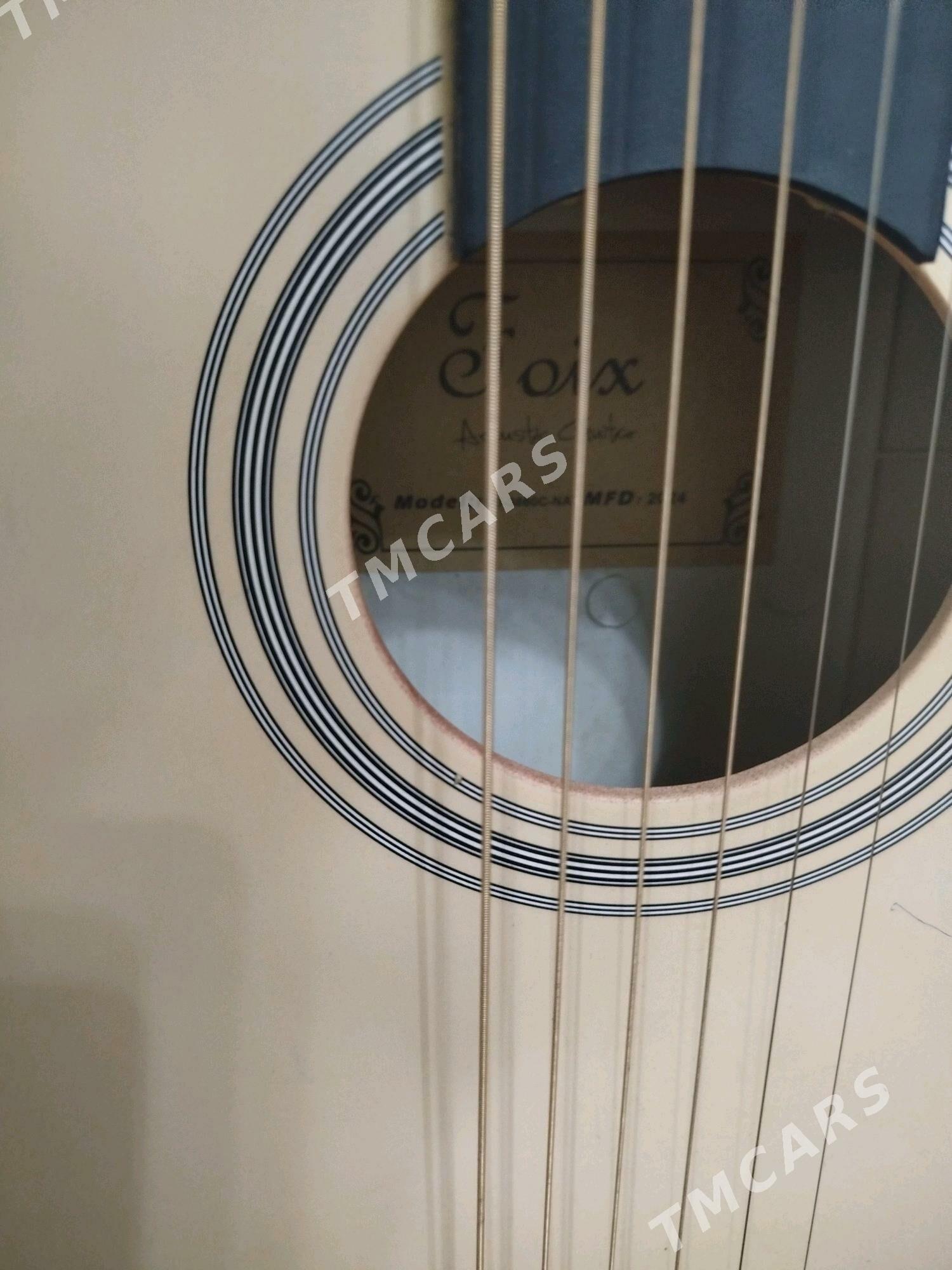 Gitara - Дашогуз - img 1